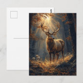 Majestueus hertenverblijf in het bos briefkaart (Voorkant / Achterkant)