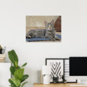 Majestueus Kitten Poster (Thuiskantoor)