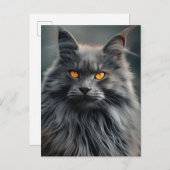 Majestueus langharig kattenportretontwerp briefkaart (Voorkant / Achterkant)