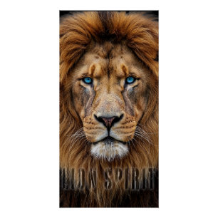 Majestueus Leeuwengezicht met Blauwe Ogen Wilde Perfect Poster