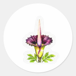 Majestueus Lijkbloemkunst - Iconische Indonesische Ronde Sticker