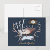 Majestueus mannelijk eland briefkaart (Voorkant / Achterkant)