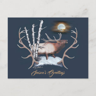Majestueus mannelijk eland briefkaart