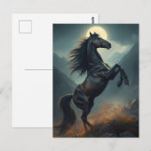 majestueus paard briefkaart (Voorkant / Achterkant)