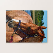 Majestueus paard legpuzzel (Horizontaal)