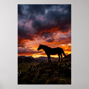 Majestueus Paard Silhouet Zonsondergang Poster   L