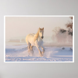 Majestueus portret van het witte paard poster