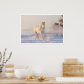 Majestueus portret van het witte paard poster (Keuken)