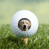 Majestueus realistisch labrador retriever olieverf golfballen (Insitu Shirt)