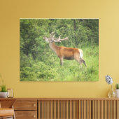 Majestueus rood hert in het bos canvas afdruk (Insitu (Woonkamer))