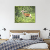 Majestueus rood hert in het bos canvas afdruk (Insitu (Slaapkamer))