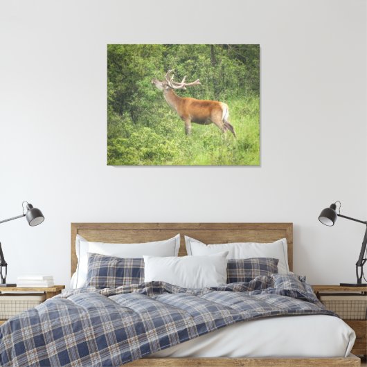 Majestueus rood hert in het bos canvas afdruk (Insitu (Slaapkamer))