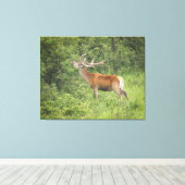 Majestueus rood hert in het bos canvas afdruk (Insitu (Houten vloer))