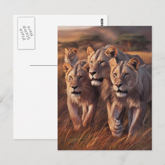 Majestueus trio zwerven door hoog gras briefkaart (Voorkant / Achterkant)