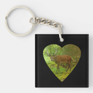 Majestueus Voorzichtig Geweid Herten Krachtig Wild Sleutelhanger