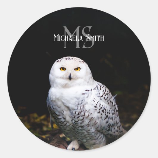 Majestueus winter sneeuwuil monogram aangepaste na ronde sticker (Voorkant)