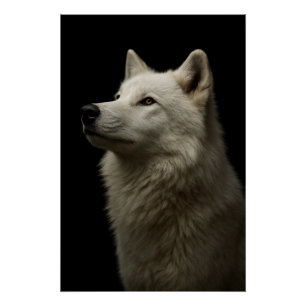 Majestueus Wolf Portret Kracht & Koninklijk Vertro Perfect Poster