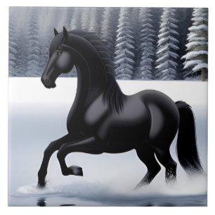 Majestueus zwart paard dat paradeert op een besnee tegeltje