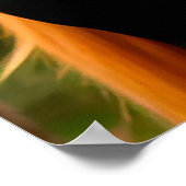 Majestueus zwart paard met stromende manen poster (Hoek)