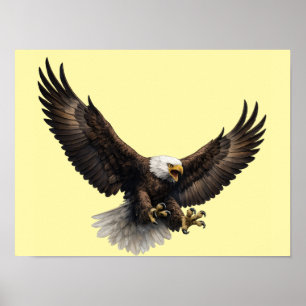 Majestueuze Amerikaanse Zeearend in Vlucht Natuur Poster