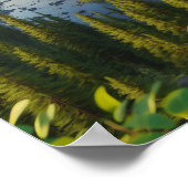 Majestueuze Bald Eagle in de ongerepte wildernis Poster (Hoek)