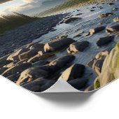 Majestueuze Bald Eagle in de ongerepte wildernis Poster (Hoek)