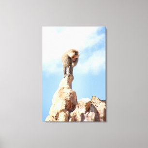 Majestueuze baviaan op bergtop canvas afdruk