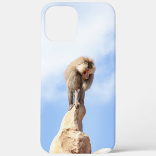 Majestueuze baviaan op bergtop Case-Mate iPhone case