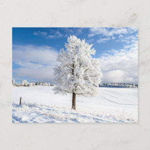 Majestueuze besneeuwde boom in winterlandschap briefkaart