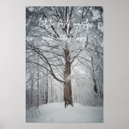 Majestueuze beuk in het winterbos poster