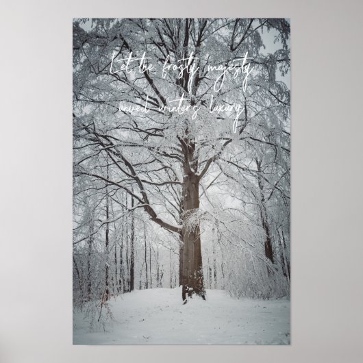 Majestueuze beuk in het winterbos poster (Voorkant)