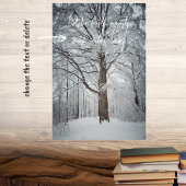 Majestueuze beuk in het winterbos poster