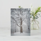 Majestueuze beukenboom in het winterbos bedankkaart (Staand voorkant)