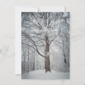 Majestueuze beukenboom in het winterbos bedankkaart (Voorkant)