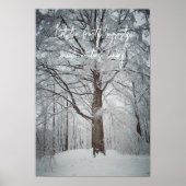 Majestueuze beukenboom in het winterbos poster (Voorkant)