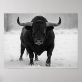 Majestueuze Black Bull in het winterse sneeuwveld Poster (Voorkant)