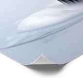 Majestueuze Black Horse Prancing op een besneeuwd  Poster (Hoek)