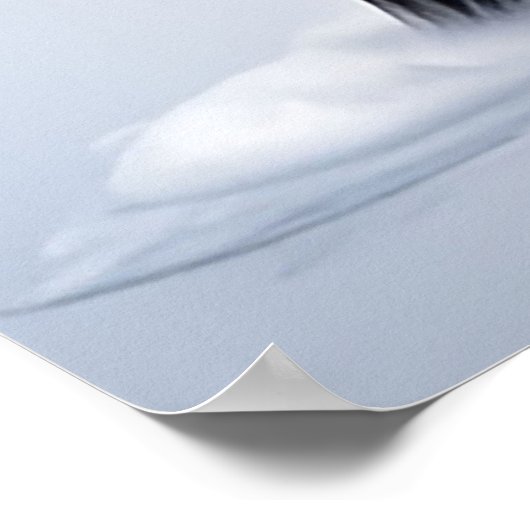 Majestueuze Black Horse Prancing op een besneeuwd  Poster (Hoek)