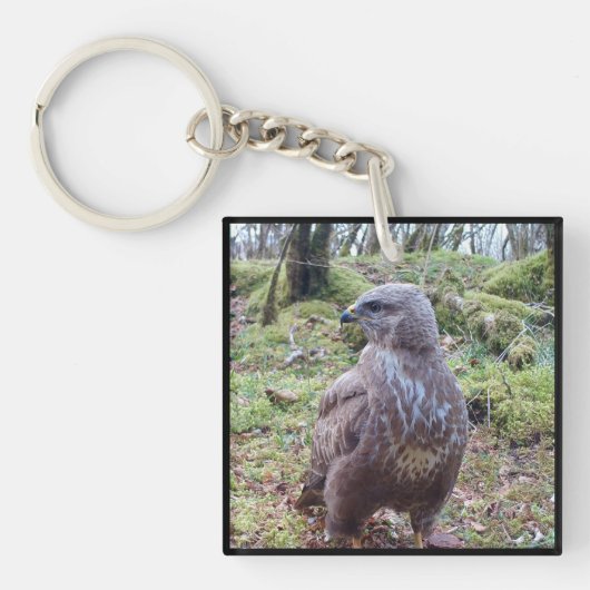 Majestueuze Buizerd Zijdelingse Blik Bos Roofvogel Sleutelhanger (Voorkant)