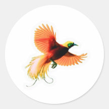Majestueuze Cendrawasih-vogelsticker - Indonesisch