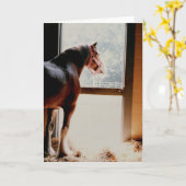 Majestueuze Clydesdale Kaart (Gele Bloem)
