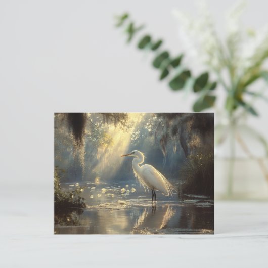 Majestueuze Egret Staande in een serene zonovergot Briefkaart (Staand voorkant)