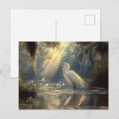 Majestueuze Egret Staande in een serene zonovergot Briefkaart (Voorkant / Achterkant)
