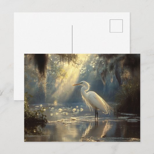 Majestueuze Egret Staande in een serene zonovergot Briefkaart (Voorkant / Achterkant)