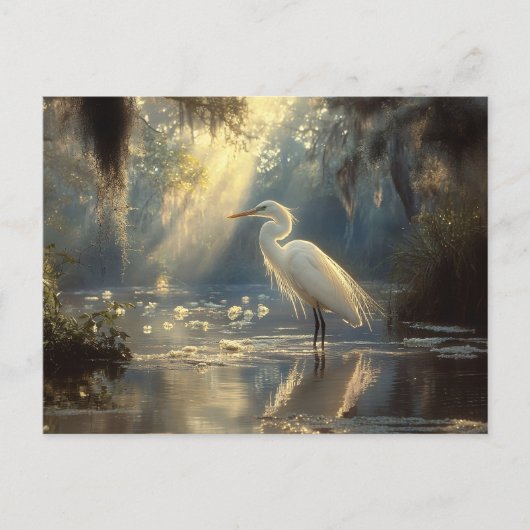 Majestueuze Egret Staande in een serene zonovergot Briefkaart (Voorkant)