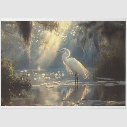 Majestueuze Egret Staande in een serene zonovergot Tissuepapier (Voorkant)