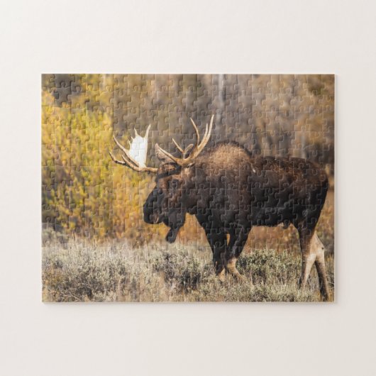 Majestueuze Eland In Het Wild Foto Legpuzzel (Horizontaal)