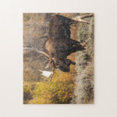 Majestueuze Eland In Het Wild Foto Legpuzzel (Verticaal)