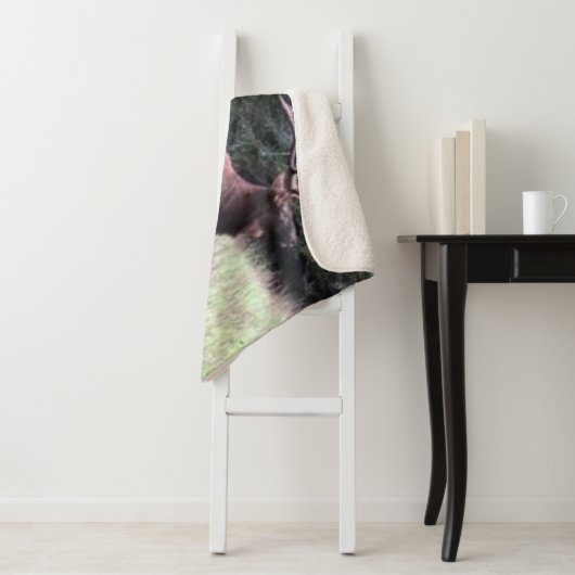 MAJESTUEUZE ELK SHERPA DEKEN (In situ)