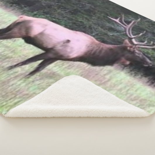 MAJESTUEUZE ELK SHERPA DEKEN (3/4)